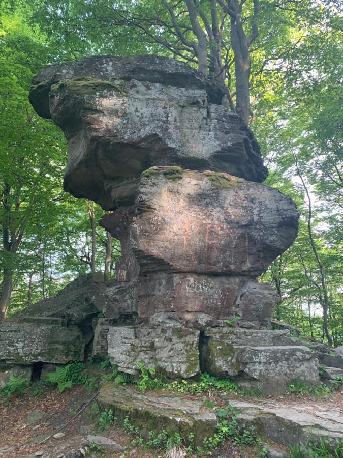 Schronisko Gorskie Pttk Na Jaworzynie Krynickiej Krynica Zdroj Buitenkant foto